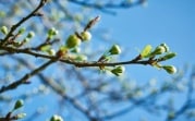На выходных в центр России придет потепление