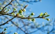 На выходных в центр России придет потепление