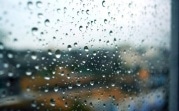 Погода в Тульской области 4 апреля: дождливо, ветрено, до +12 градусов