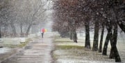 «Прощальные» метели придут в Россию: чего ждать тулякам