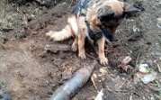 В Тульской области на стройке обнаружен современный боевой снаряд