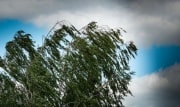 В Тульской области объявлено метеопредупреждение на 9 июля