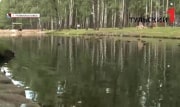 Щедрые жители Новомосковска могут стать причиной гибели уток в местном пруду