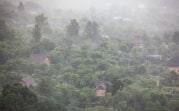 Погода в Тульской области 30 июня: дождливо, ветрено и до +25