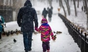 Половина россиян не поддерживает запрет на усыновление детей в недружественные страны