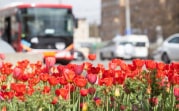 Погода в Туле 7 мая: тепло и дождливо