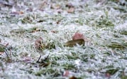 Погода в Тульской области 20 ноября: мокрый снег, гололед и ветер