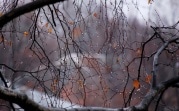 Погода в Тульской области 18 декабря: дождливо, ветрено, до +5 градусов