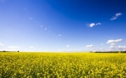 Погода 4 июня: в Туле без осадков и до +19°С