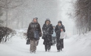 Погода в Туле 15 февраля: снегопад и сильный ветер
