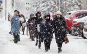 Погода в Туле 17 января: мороз и метель