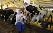 Депутаты Госдумы сократили рабочий день женщинам из сельской местности