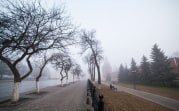 Погода в Туле 13 марта: оттепель и пониженное давление