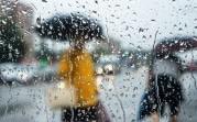 Погода в Тульской области 11 июля: дождь с грозой и сильный ветер