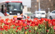 Погода в Туле 6 мая: небольшой дождь и до +16 °С