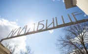 В феврале в Тульской области смертность превысила рождаемость в 2,7 раза