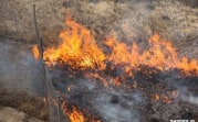 Туляки получили по 10 тысяч рублей за то, что «сдали» поджигателей травы