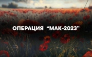 Тульские полицейские подвели итоги операции «Мак»