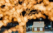 Новогодняя ночь будет аномально теплой